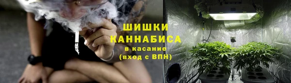 ГАЛЛЮЦИНОГЕННЫЕ ГРИБЫ Аркадак