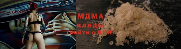 ГАЛЛЮЦИНОГЕННЫЕ ГРИБЫ Аркадак