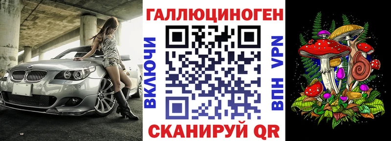 mega сайт  Черняховск  Галлюциногенные грибы Psilocybe 
