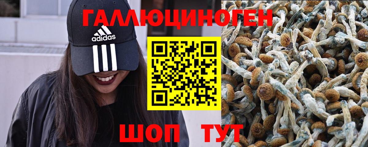 ГАШИШ Черняховск