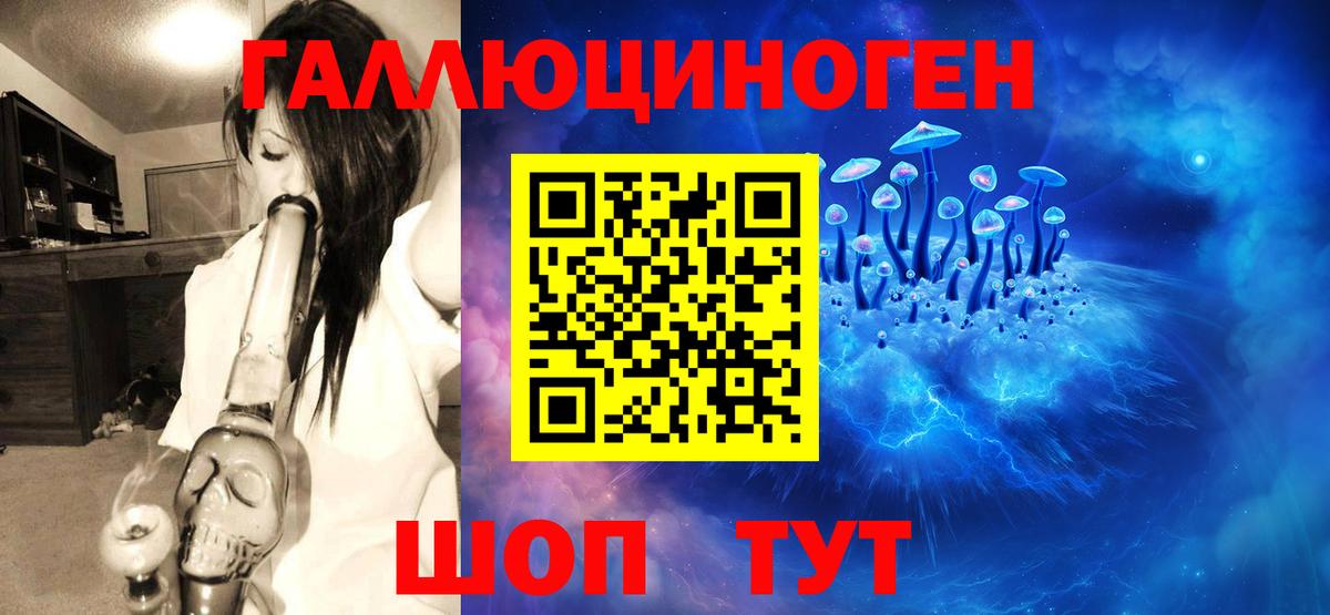 Псилоцибиновые грибы MAGIC MUSHROOMS  Вход с VPN  Черняховск 